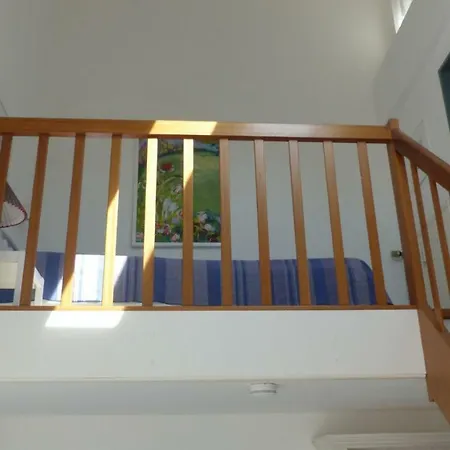 Meisennest 库克斯港